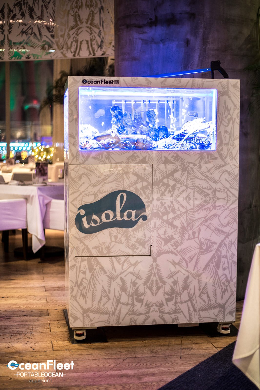 Portable Ocean tank in a dining room